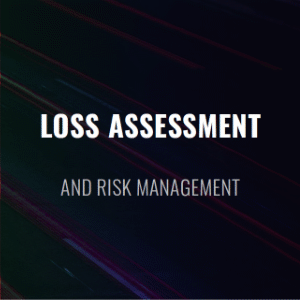 Loss Assessment
